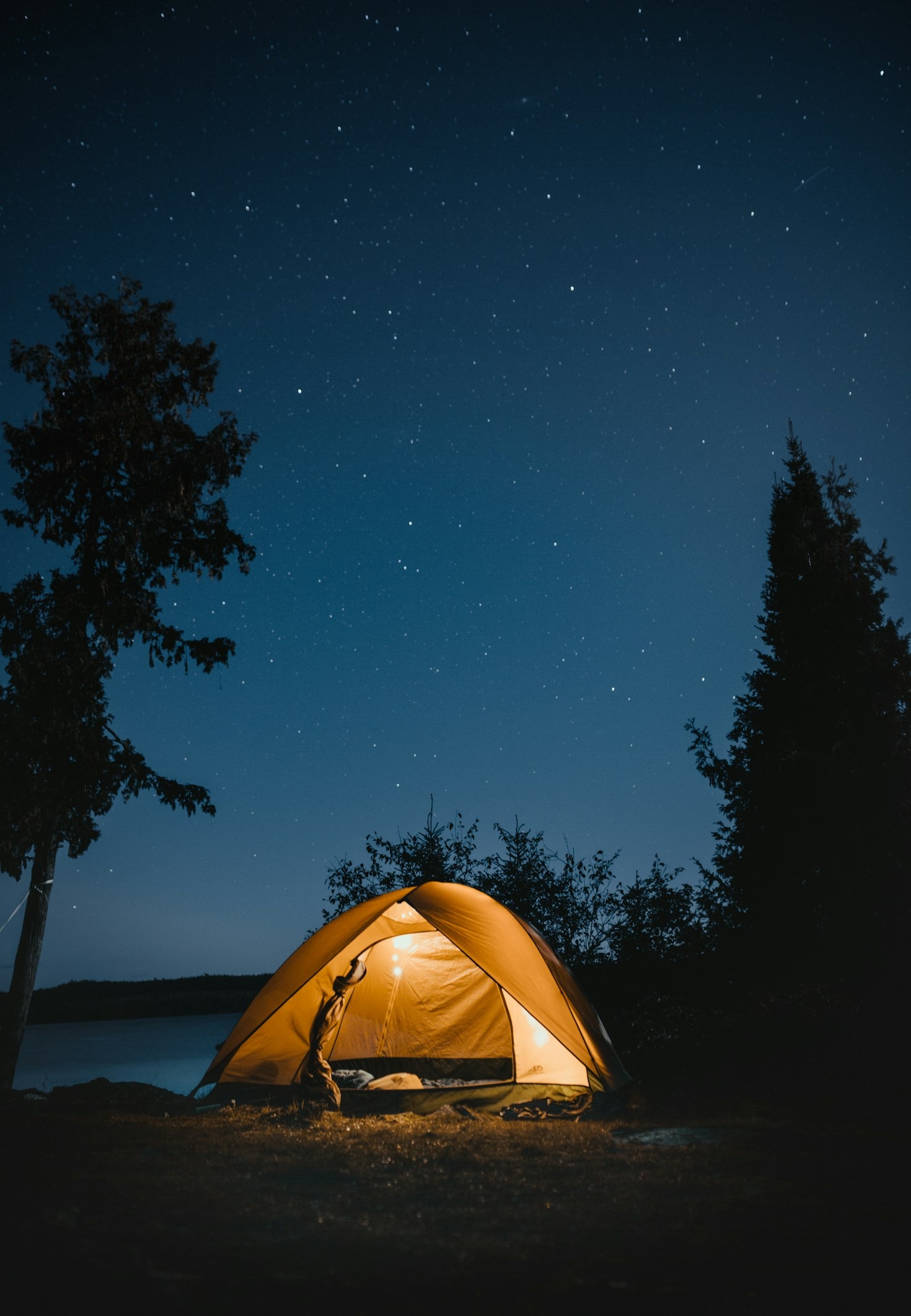 Essential Tips for Free Camping Enthusiasts