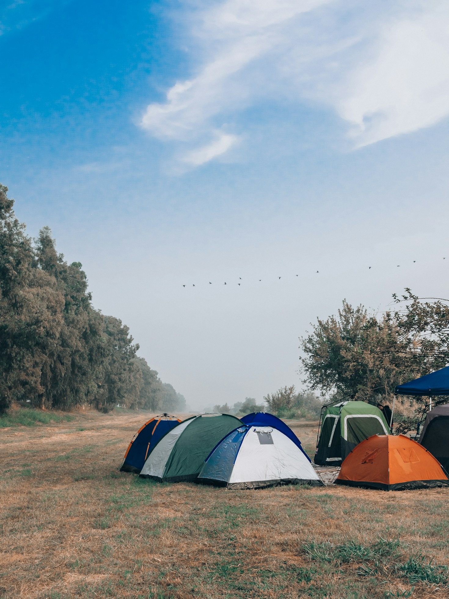 Benefits of Choosing Free Campsites for Your Adventures